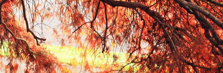 手机版ddos攻击器