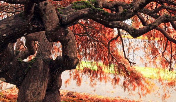 ddos服务器攻击手段